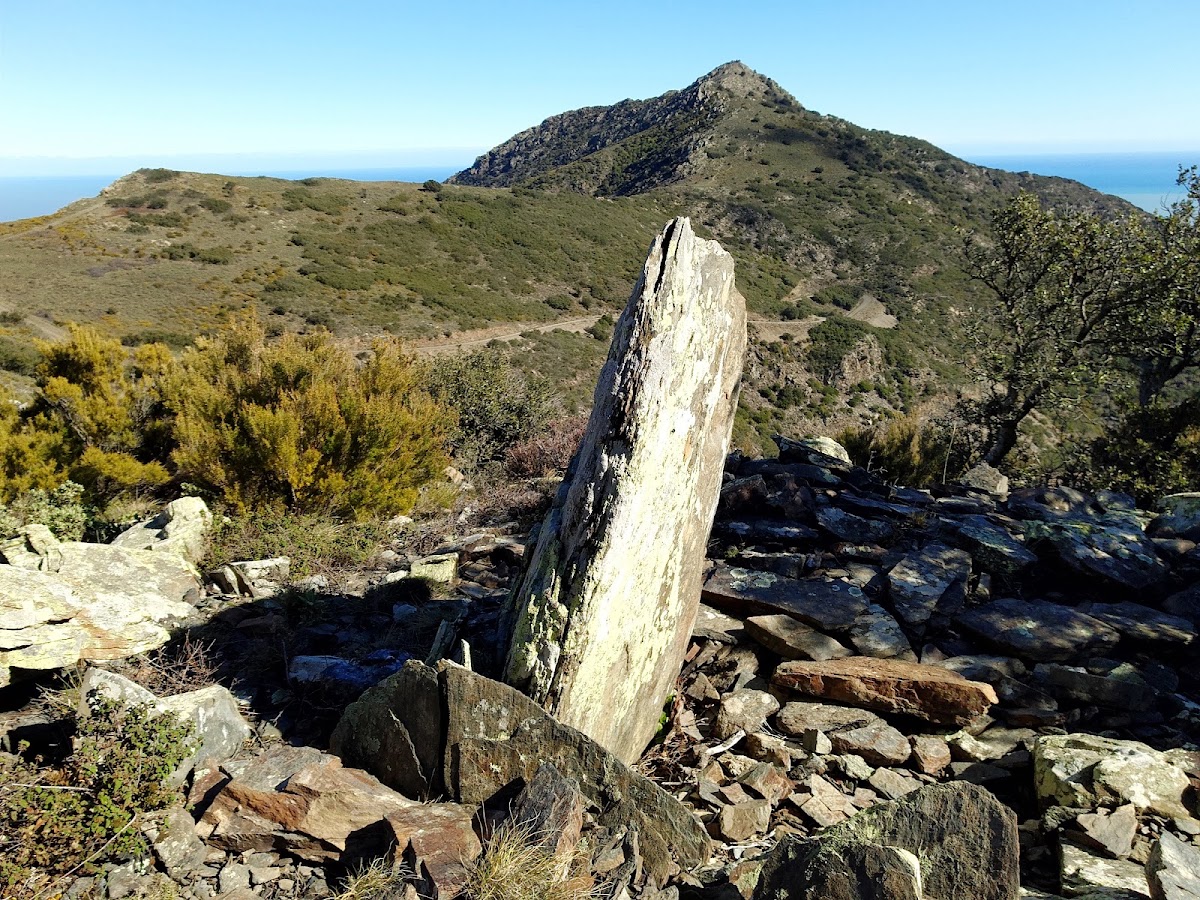 Dolmen del Plà de Ras