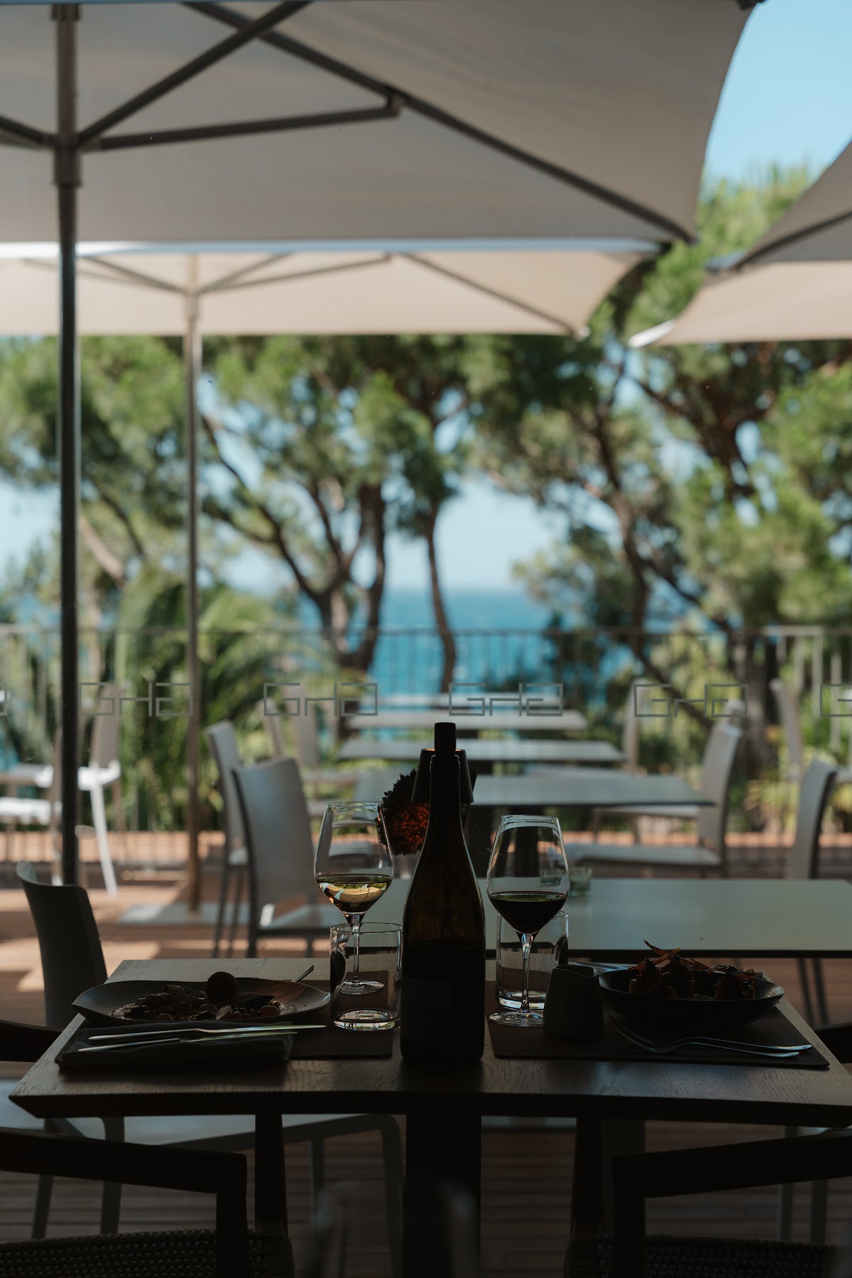 Le Bistrot à la Mer | Restaurant en bord de mer | Argeles-Collioure