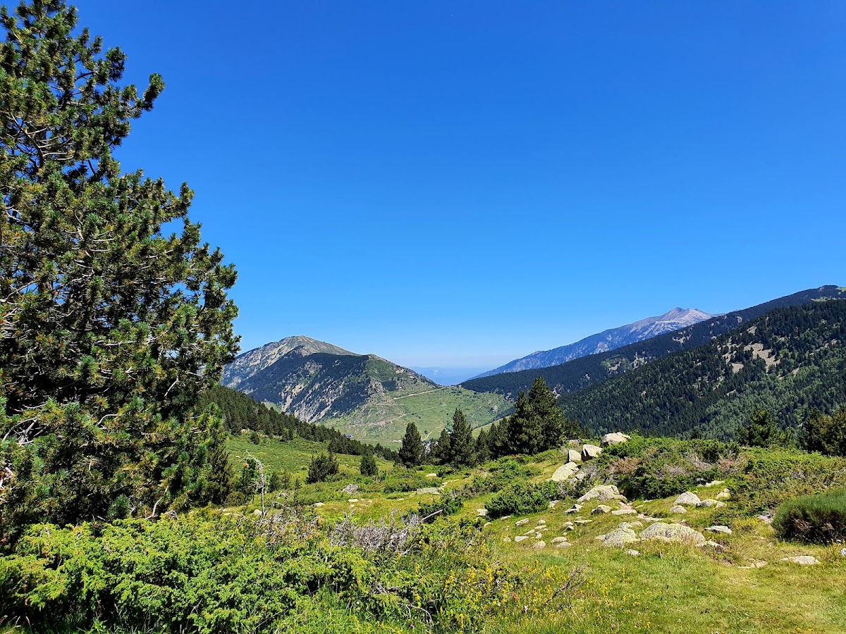 Réserve naturelle de Mantet