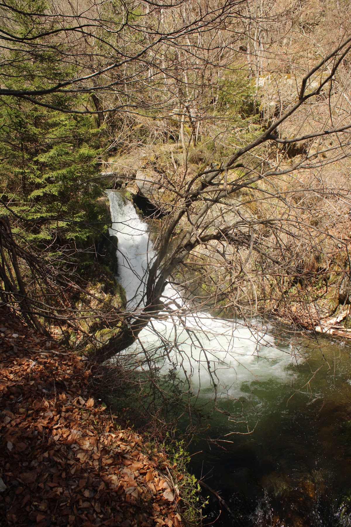 Pont et cascade