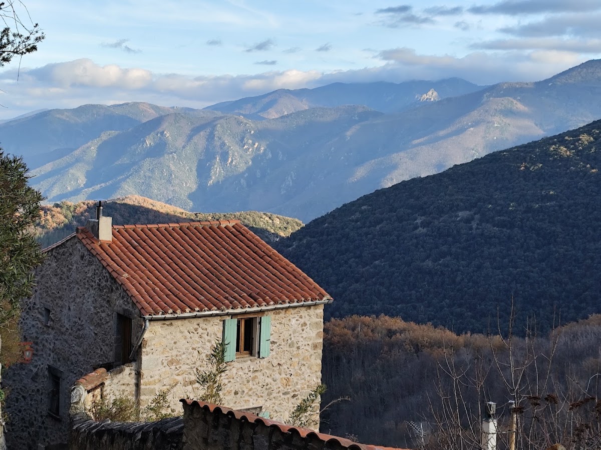 Cortsaví