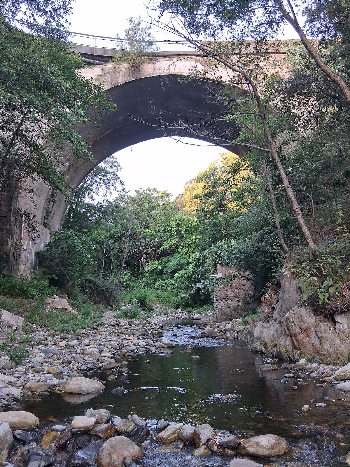 Pont de Reynes