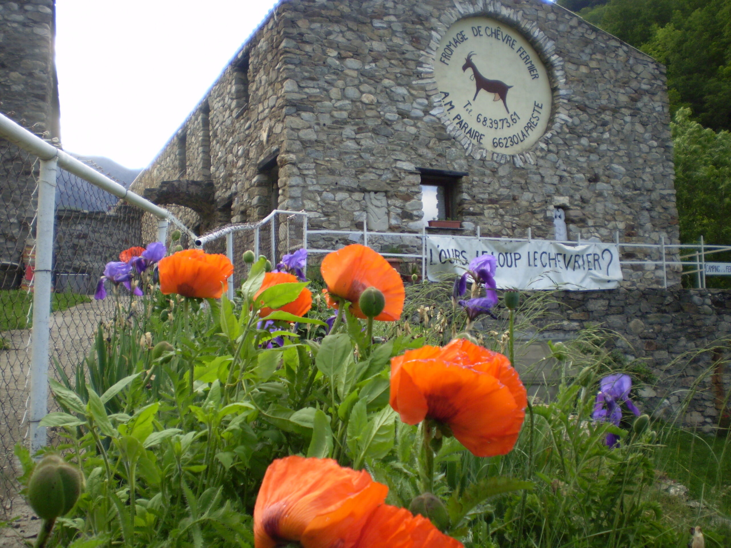 Ferme Plana Nera – les Chevriers Catalans