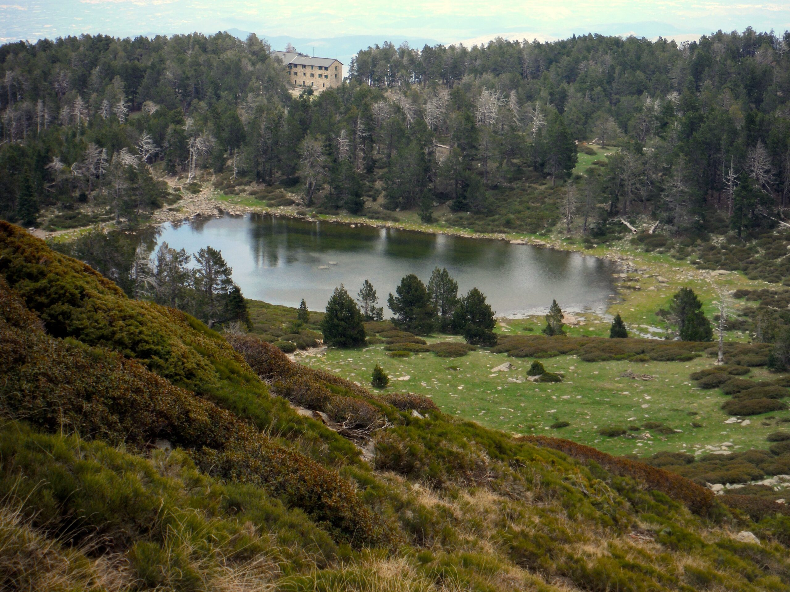 Foret du Canigou