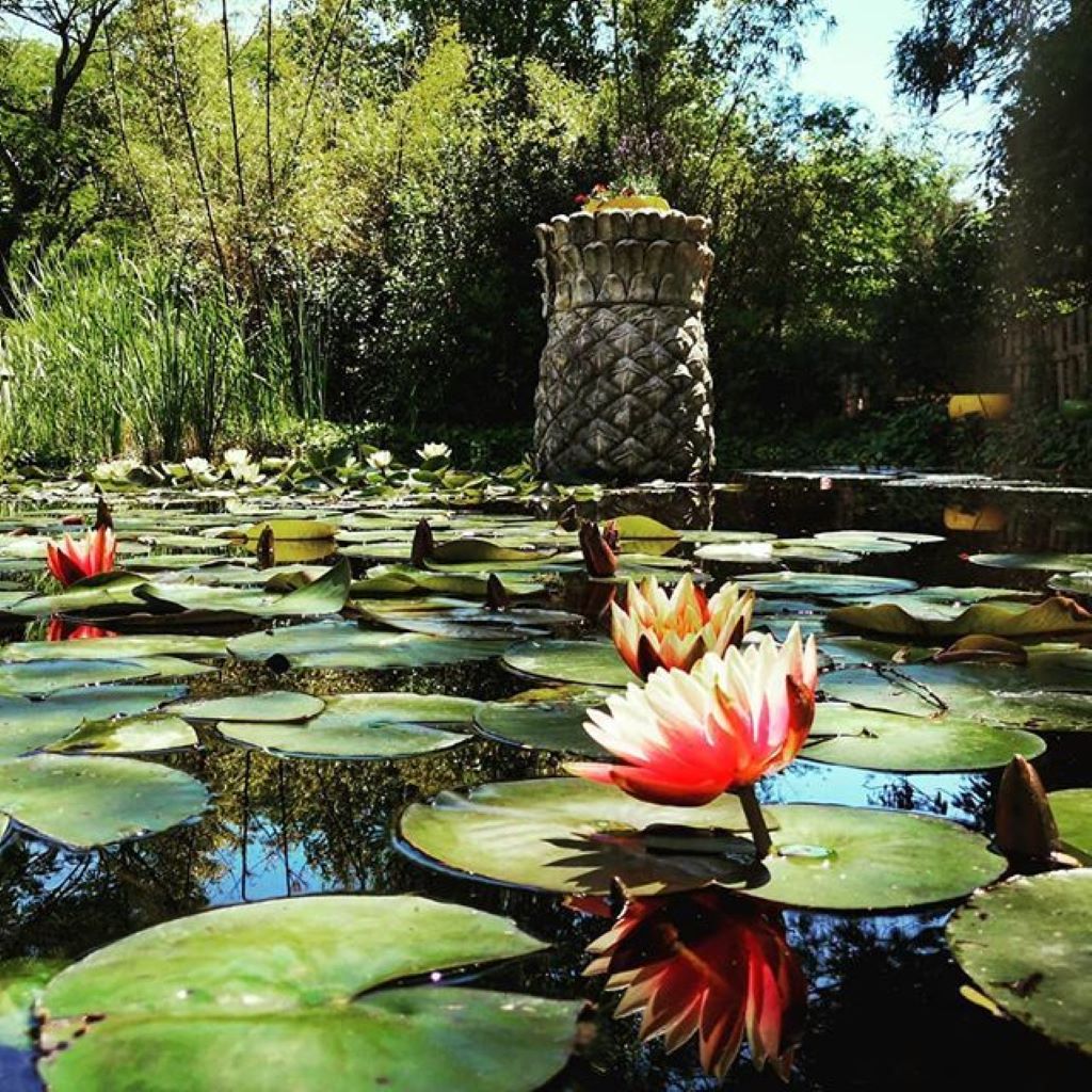Jardin Exotique