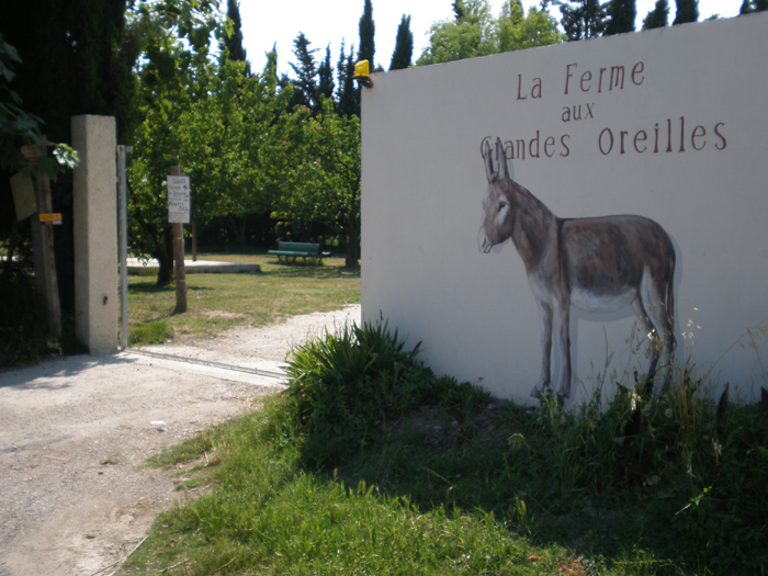 La Ferme aux Grandes Oreilles