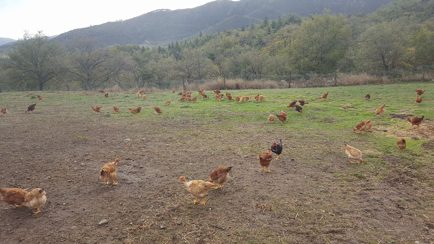 La Ferme d&rsquo;Arsa