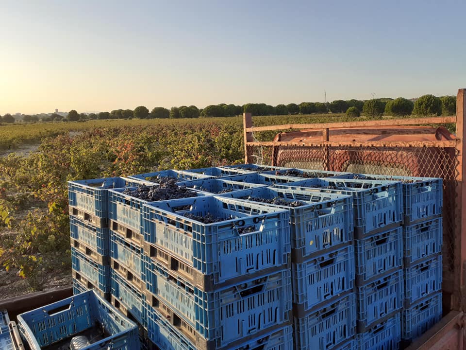 Le Clos d&rsquo;Elpis