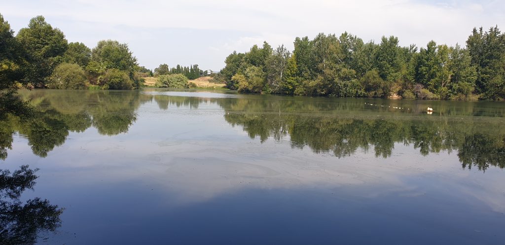 Le Lac des Bouzigues