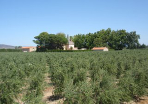 Le Moulin Saint Pierre