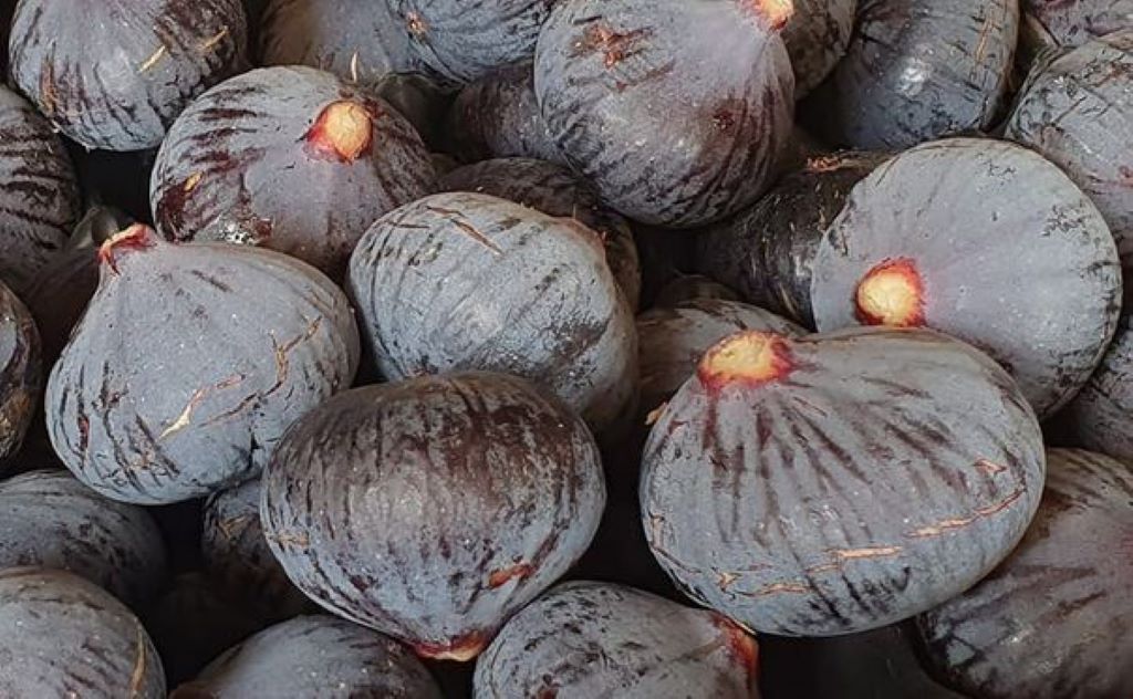 Les Jardins du Pilo
