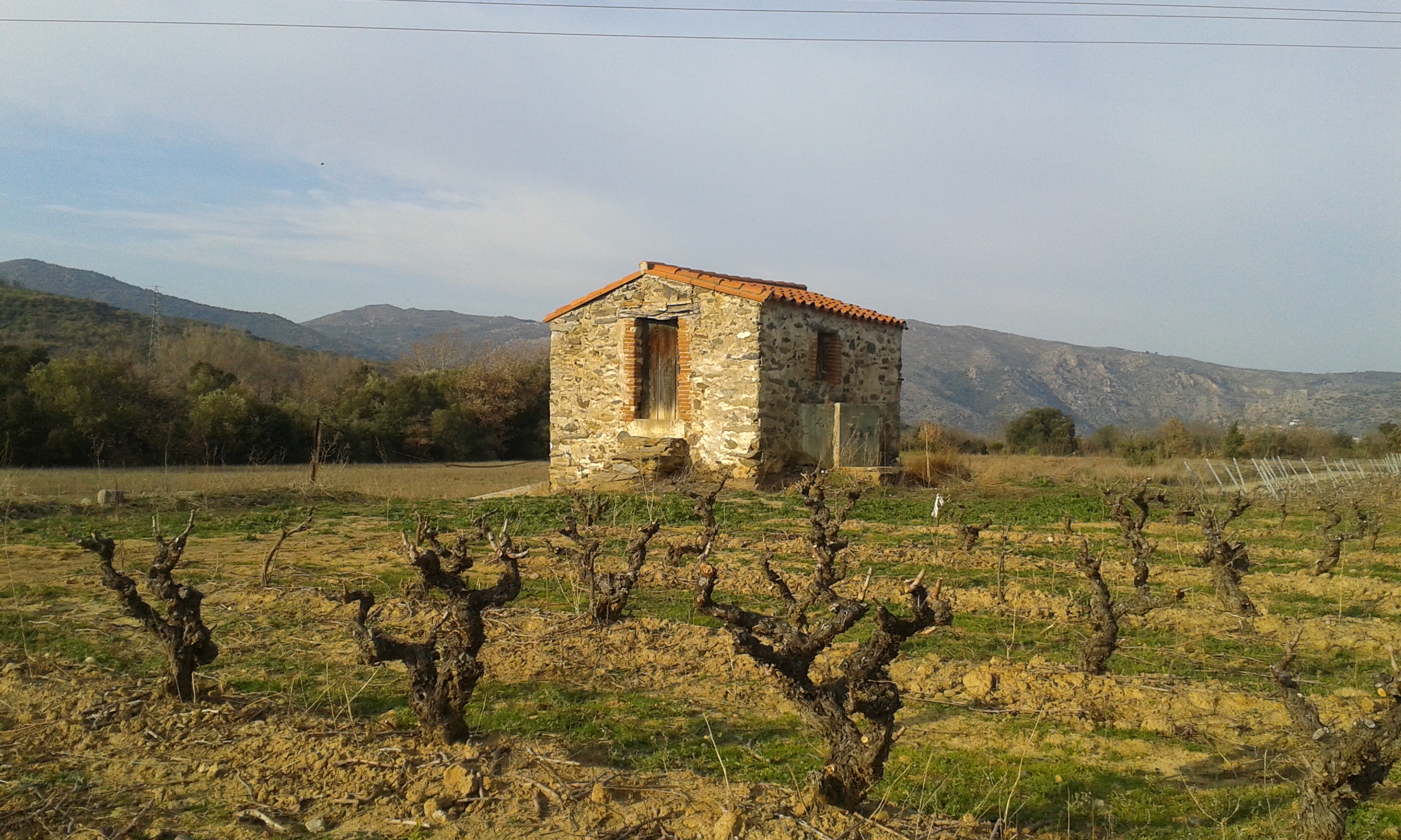 Les Vignerons en Terres Plurielles