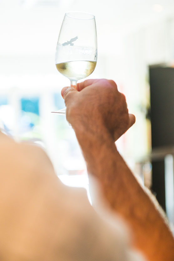 Les Vignes du Vent Agly