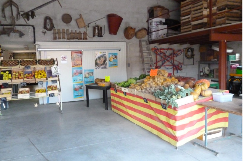 Maraichage Fillols – Chez Bernard et Mado