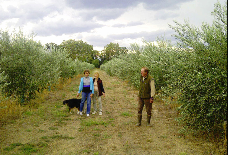 Mas d&rsquo;En Fabre – Huile des Orgues