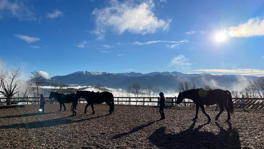 Nevada Mountain Paddock