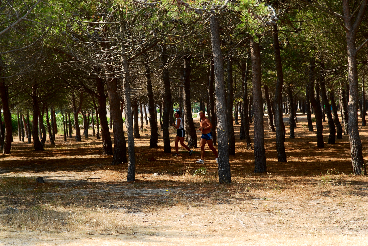 Parcours Forestier et de Sante