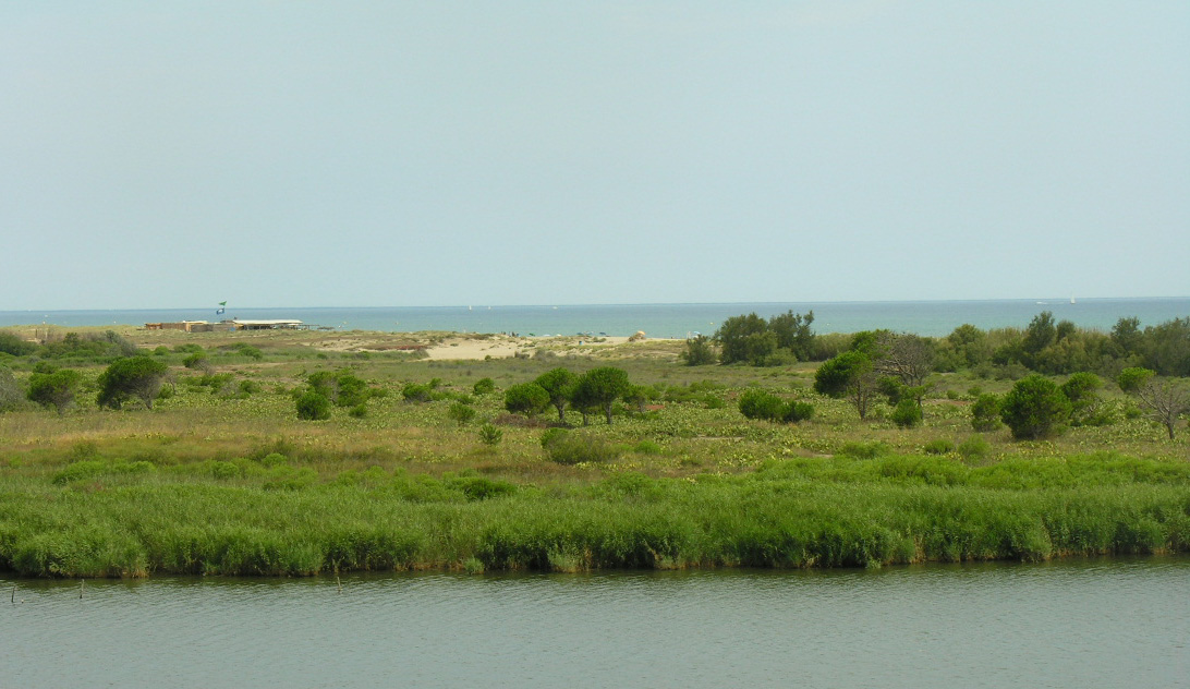 Plage Sud – Torreilles