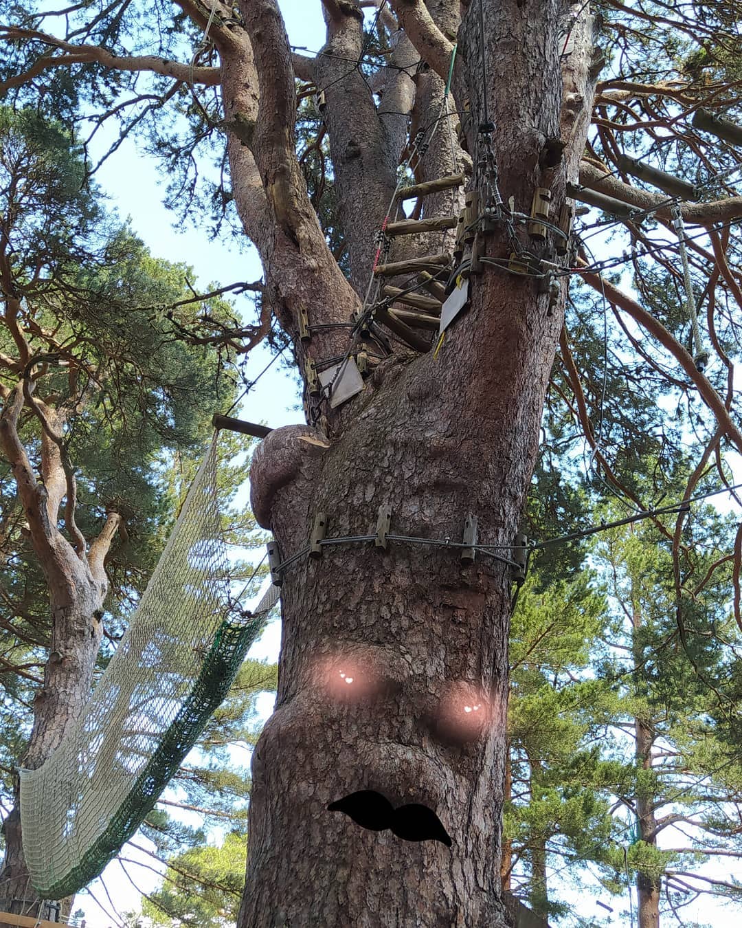 Refuge de l&rsquo;Ours – Parcours Aventure – Accrobranche