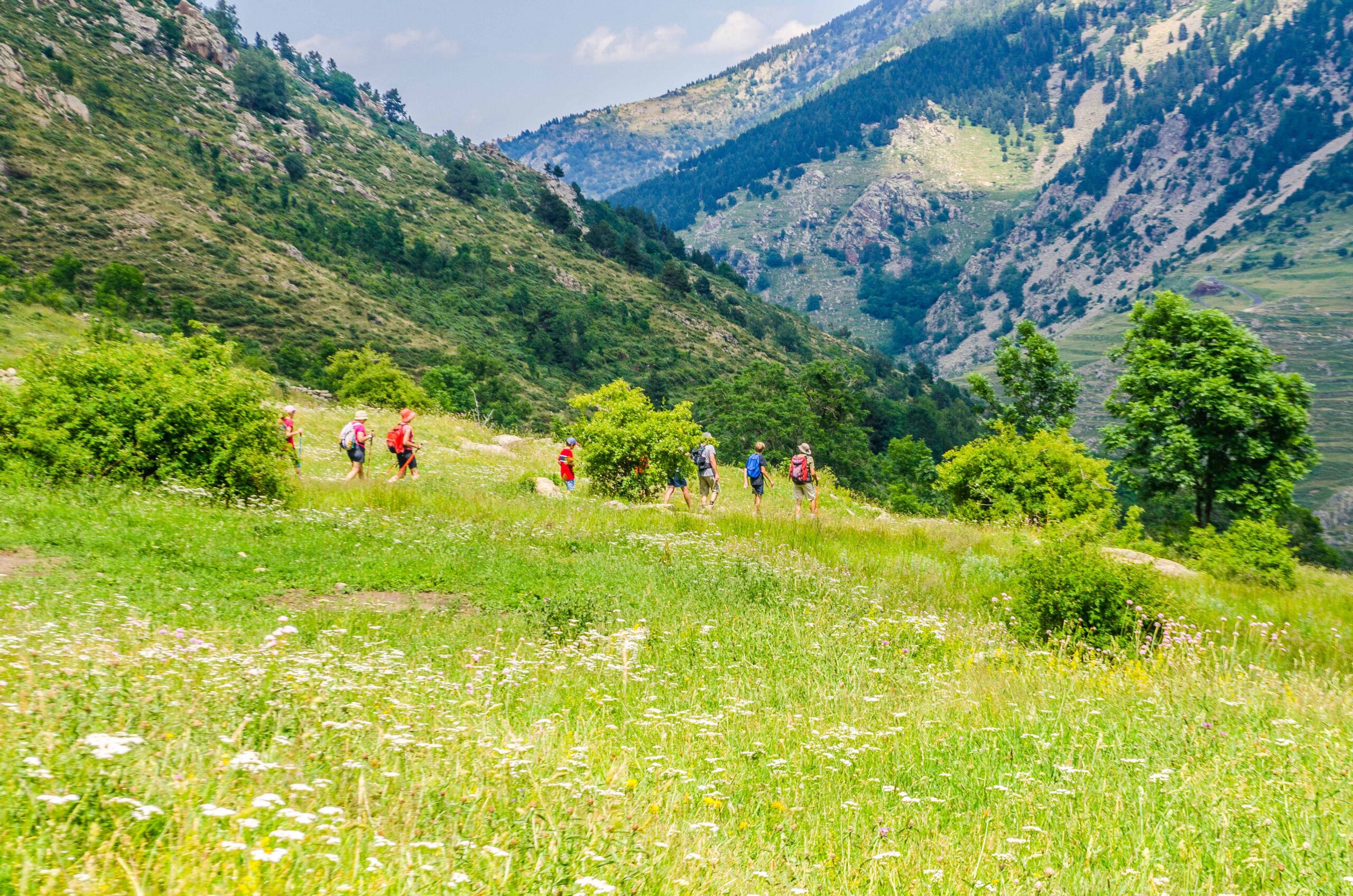 Reserve Naturelle de Mantet
