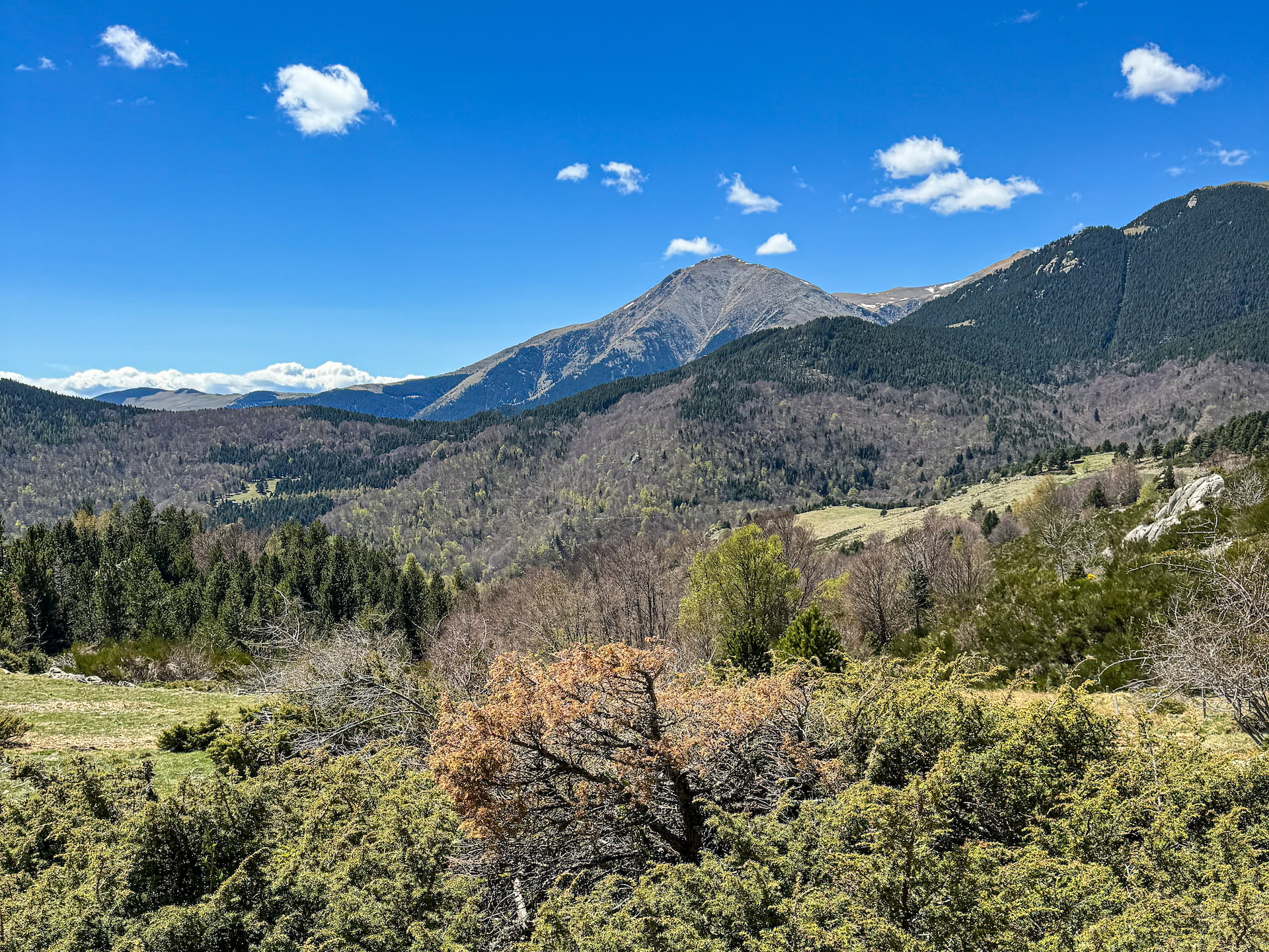 Reserve Naturelle de Prats de Mollo la Preste