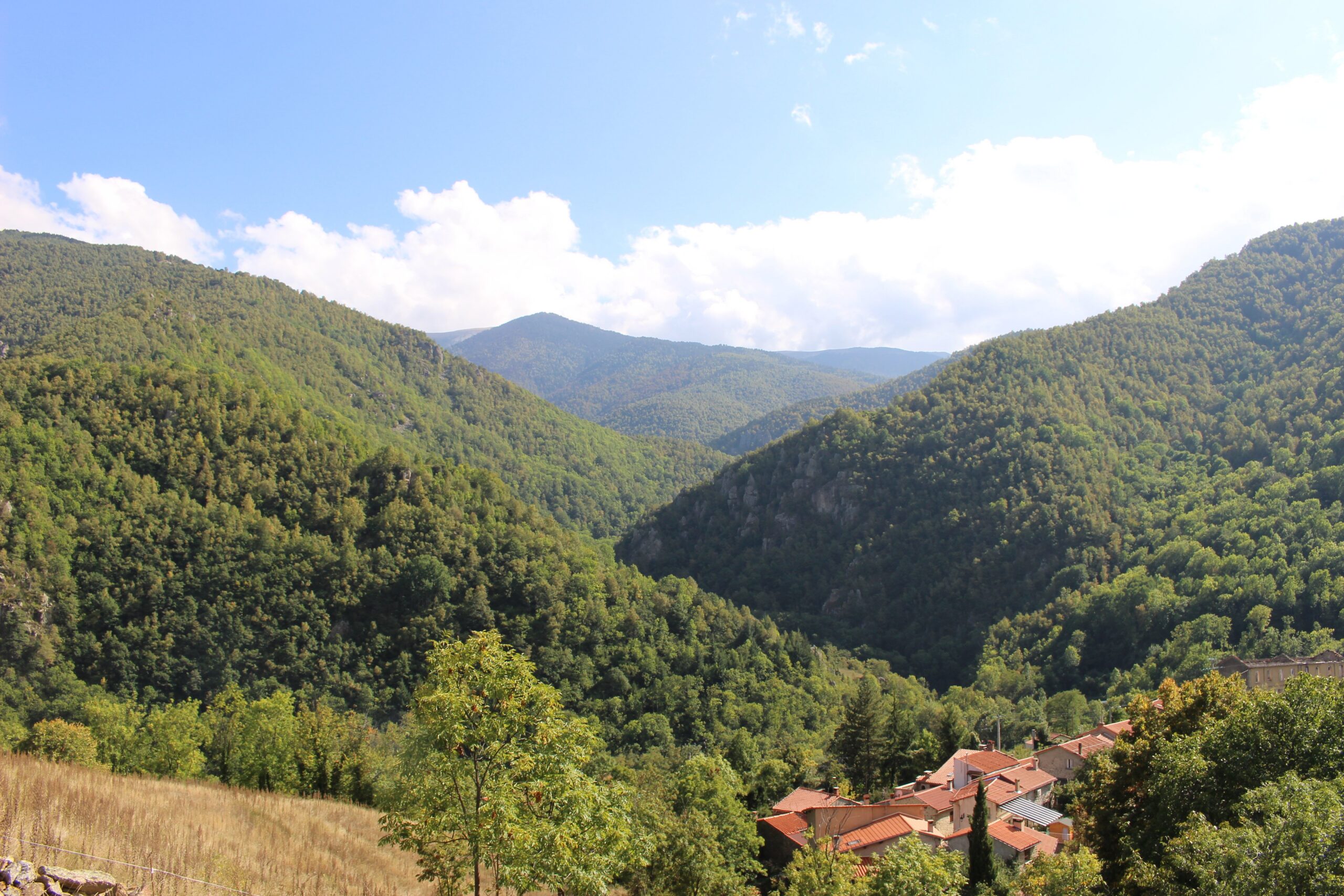 Reserve Naturelle de Py