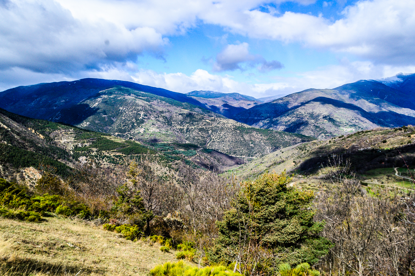 Reserve Naturelle Regionale de Nyer