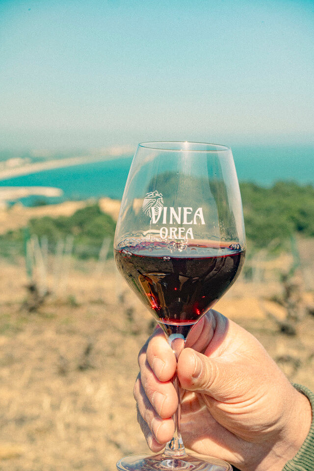 Vinea Orea